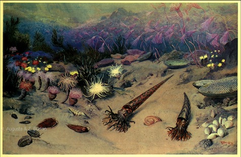 Painting of the Ordovician Sea