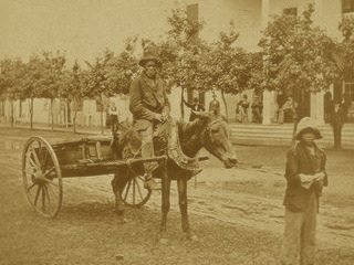 Freed slaves in Florida during Reconstruction Freed slaves in Florida during Reconstruction
