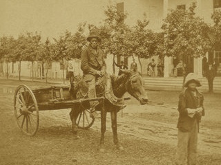 Freed slaves in Florida during Reconstruction