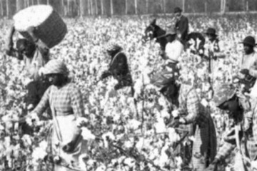 Slaves were counted as three-fifths of a person towards Congressional representation Slaves were counted as three-fifths of a person towards Congressional representation