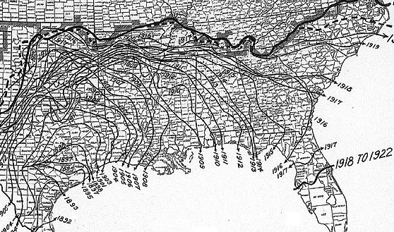 The spread of the boll weevil, early 1900s